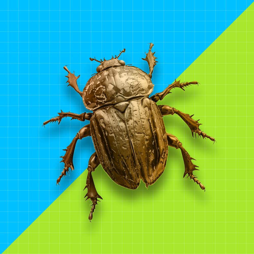 Инженер по тестированию с нуля (индивидуальный тариф)