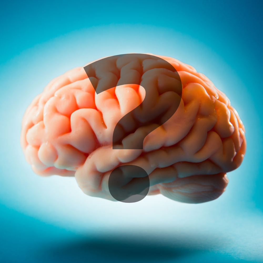  Мнемотехника